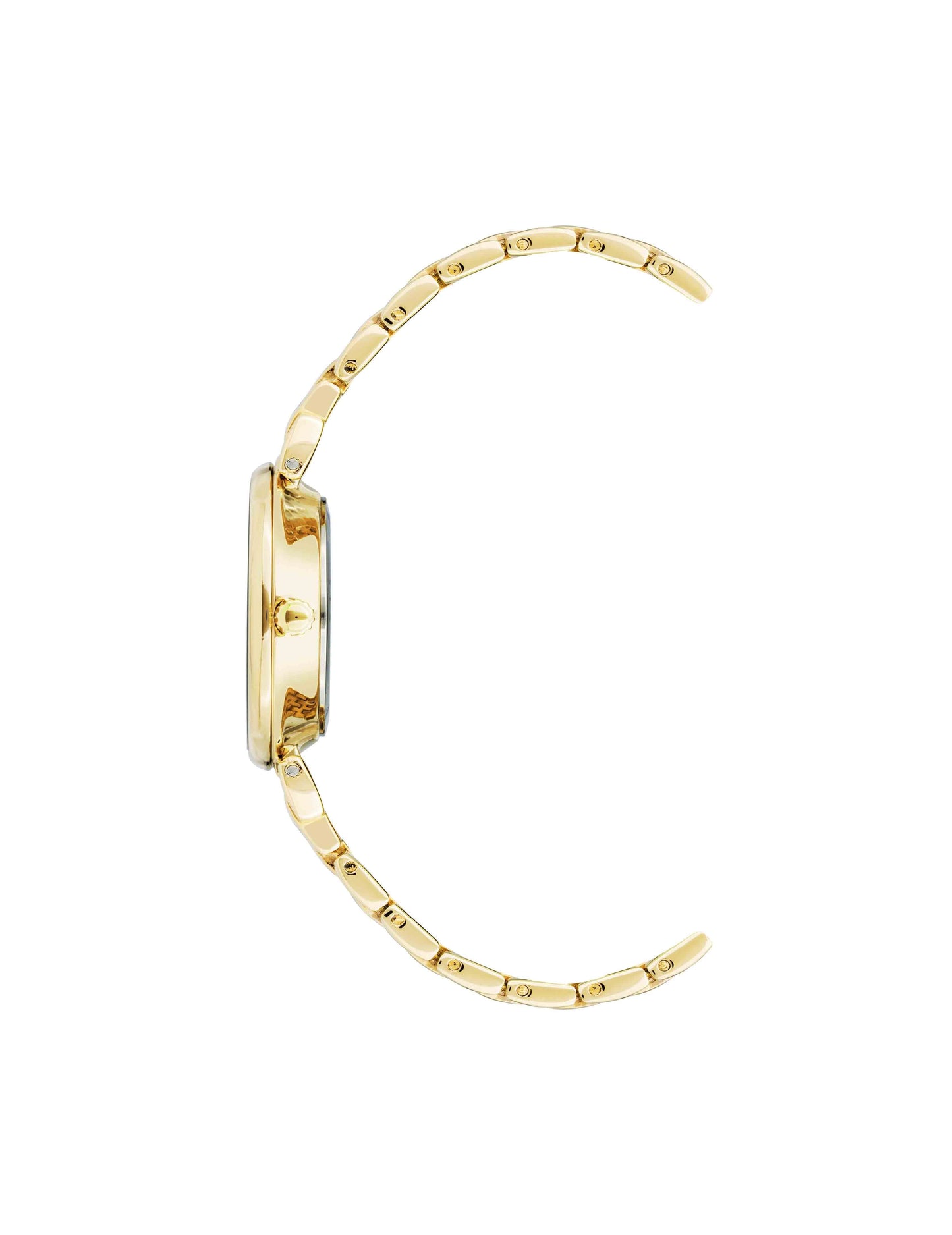 Anne Klein Roman Numeral Dial Watch in Gold & Burgundy