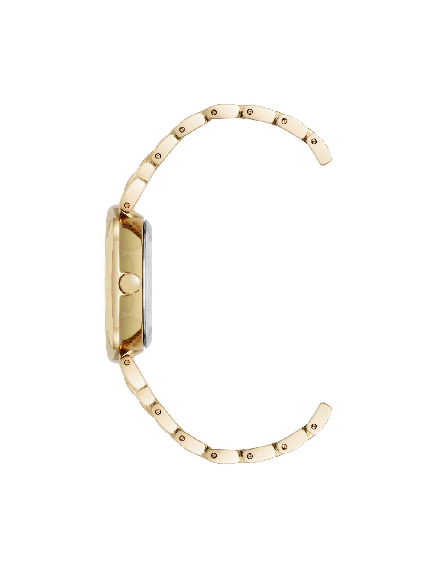 Anne Klein Classic Elegance Oval Watch