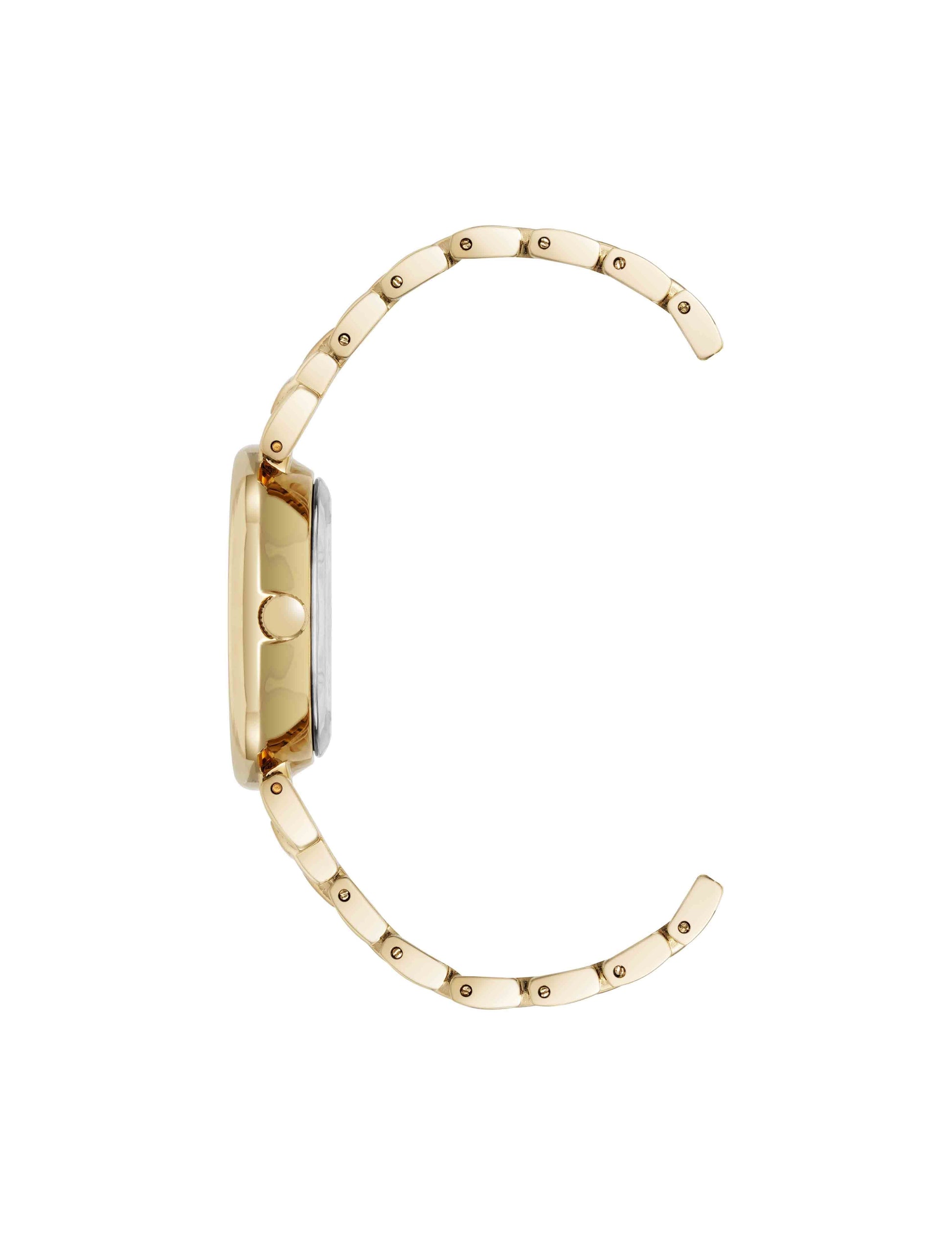 Anne Klein Classic Elegance Oval Watch