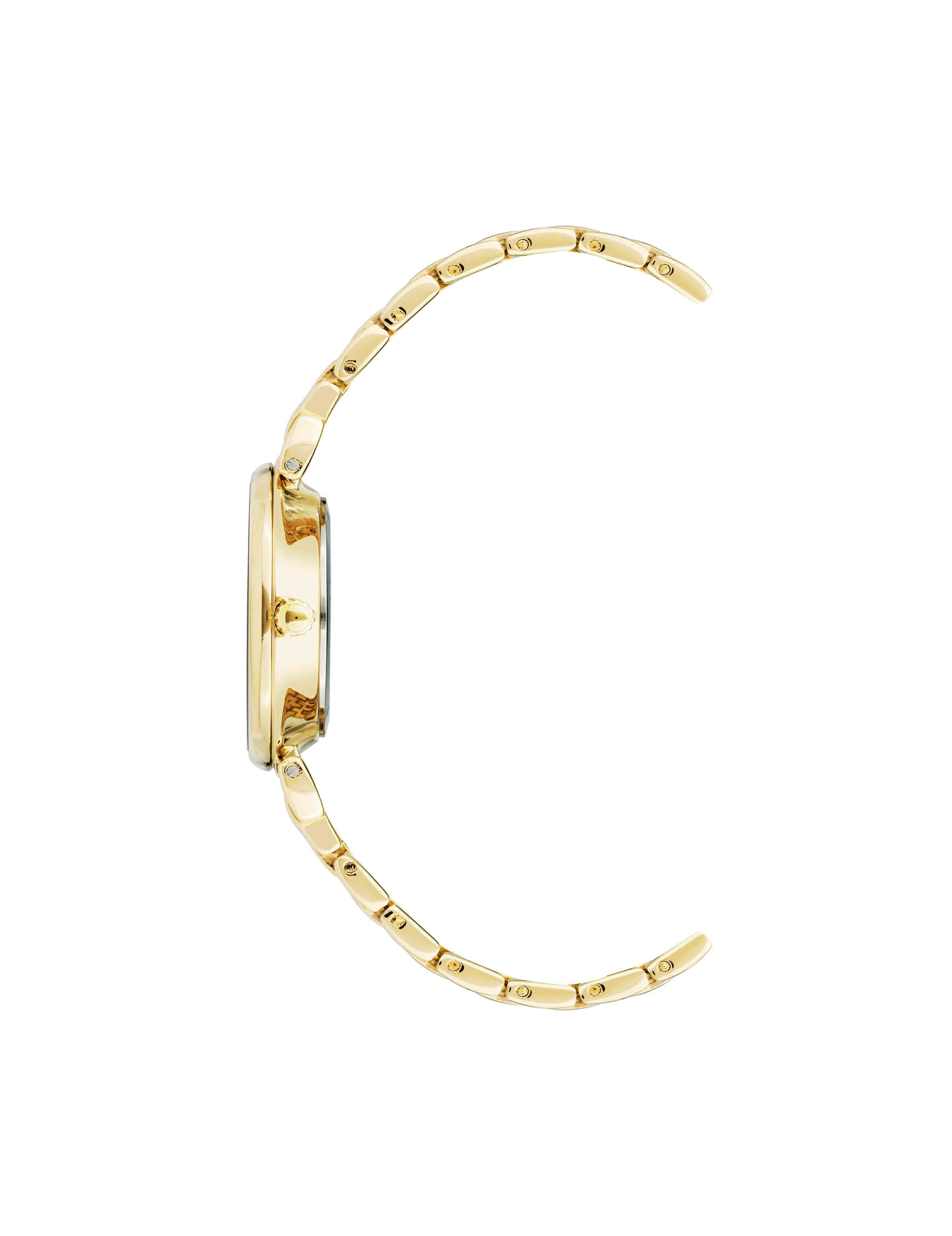 Anne Klein Roman Numeral Dial Watch in Gold & Burgundy
