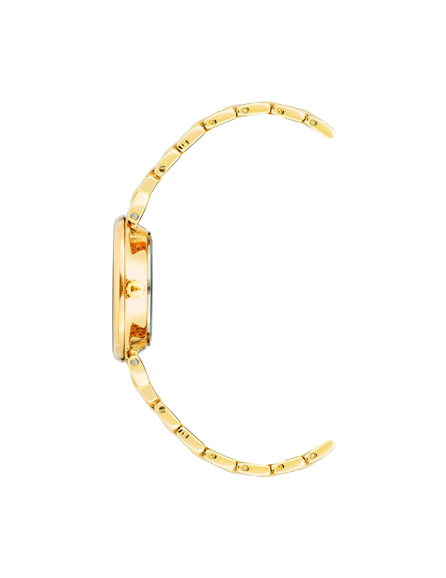 Anne Klein Roman Numeral Dial Watch