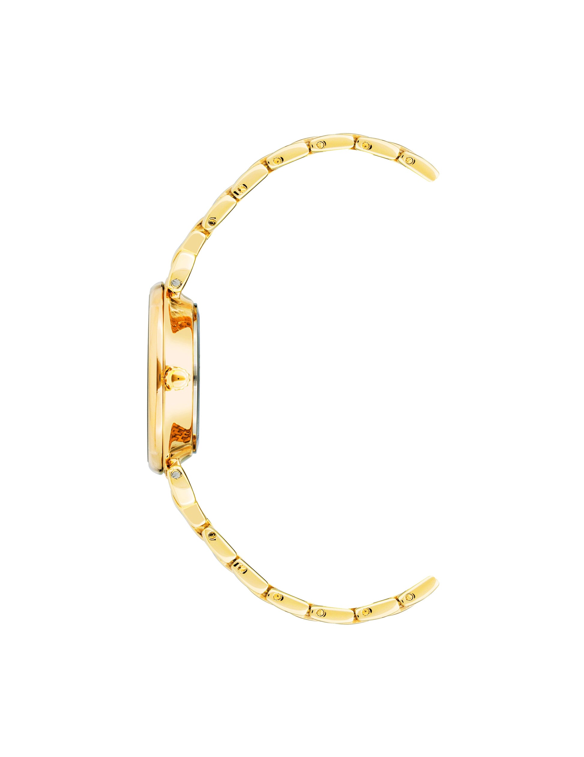 Anne Klein Roman Numeral Dial Watch
