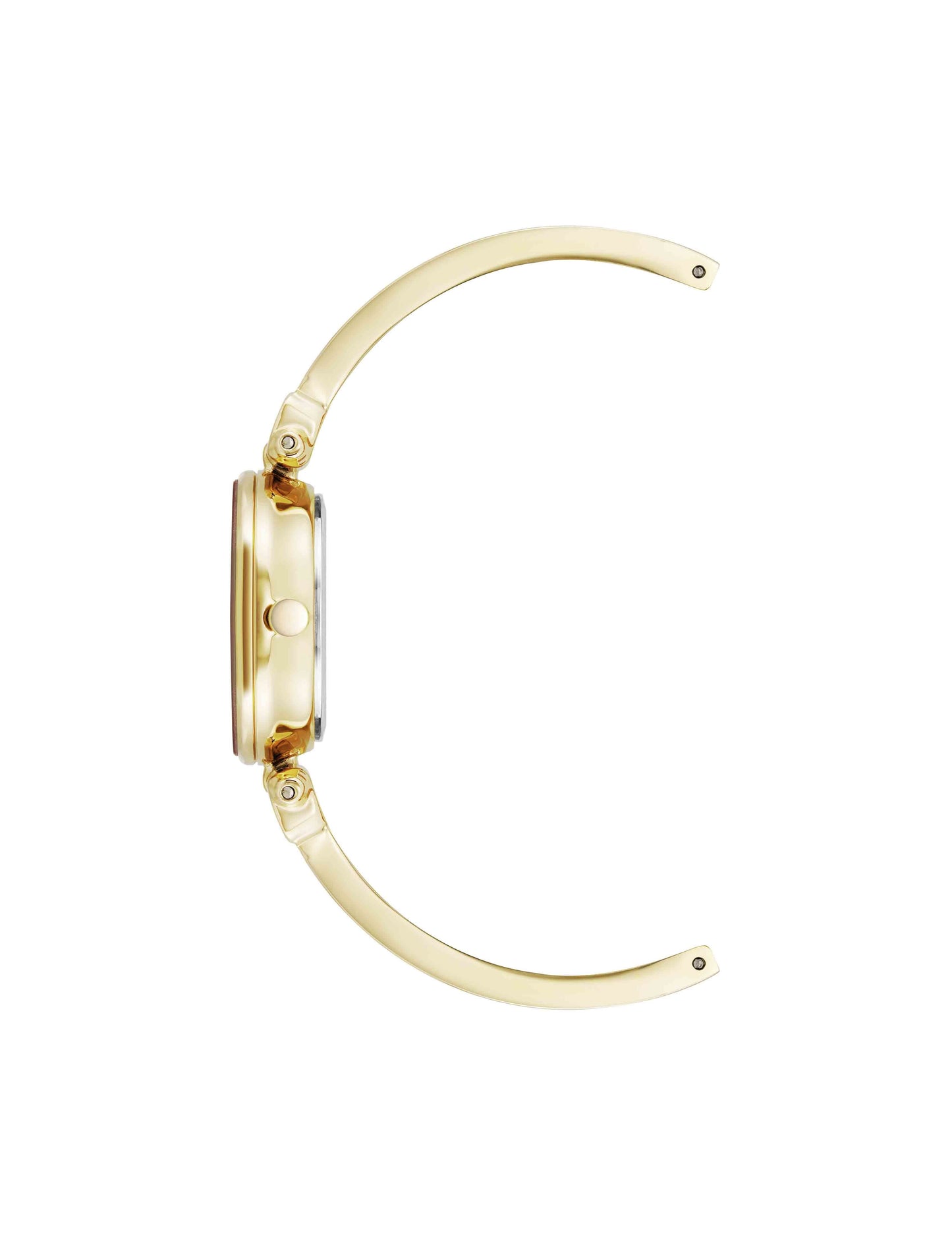 Anne Klein Diamond Accent Bangle Watch