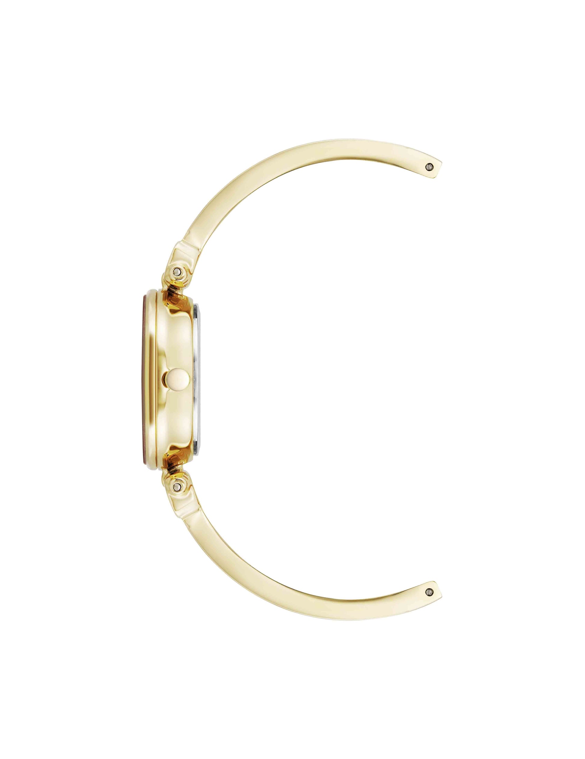 Anne Klein Diamond Accent Bangle Watch