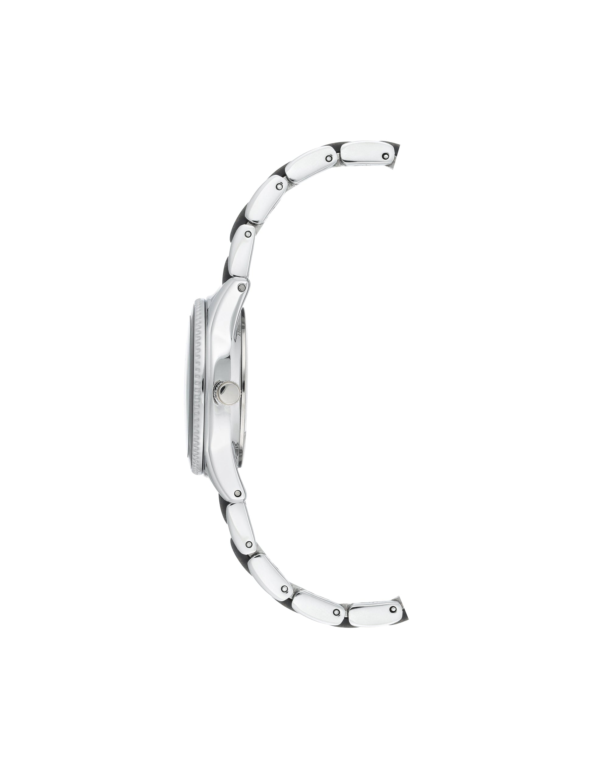 Anne Klein Acetate Bracelet Link Watch