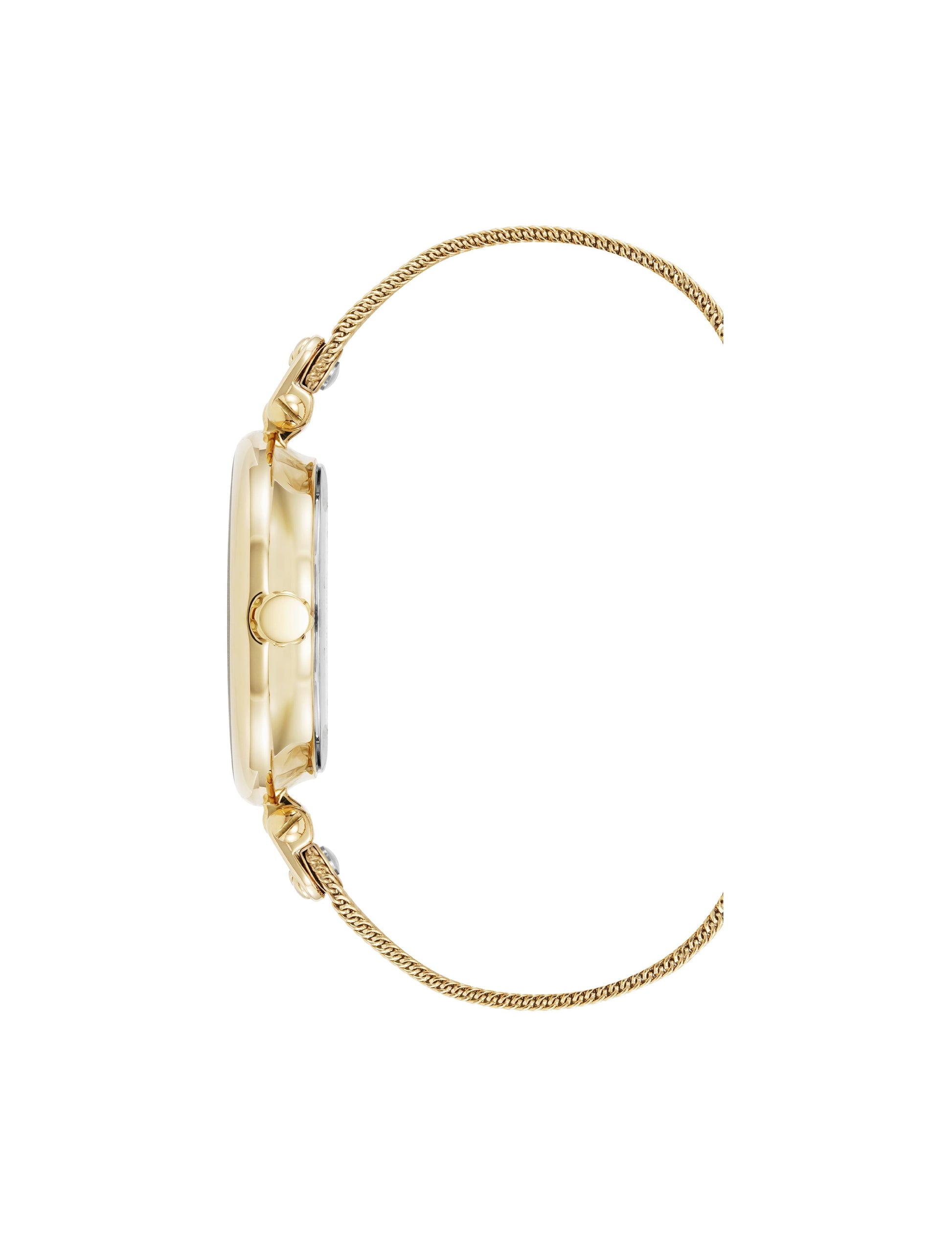 Anne Klein Timeless Mesh Bracelet Watch