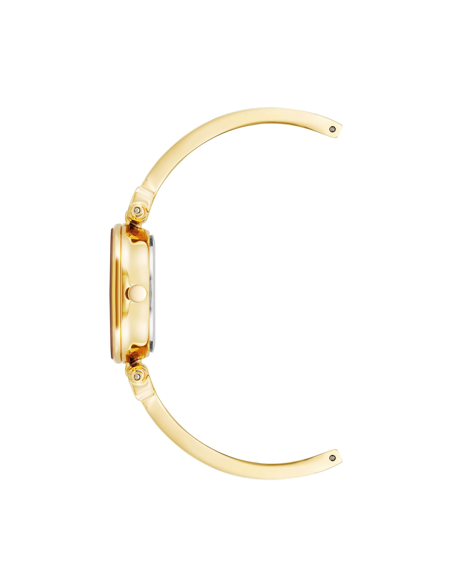Anne Klein Diamond Accent Bangle Watch