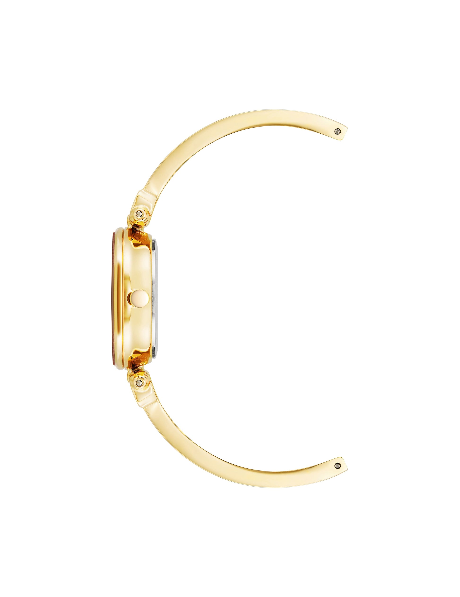Anne Klein Diamond Accent Bangle Watch