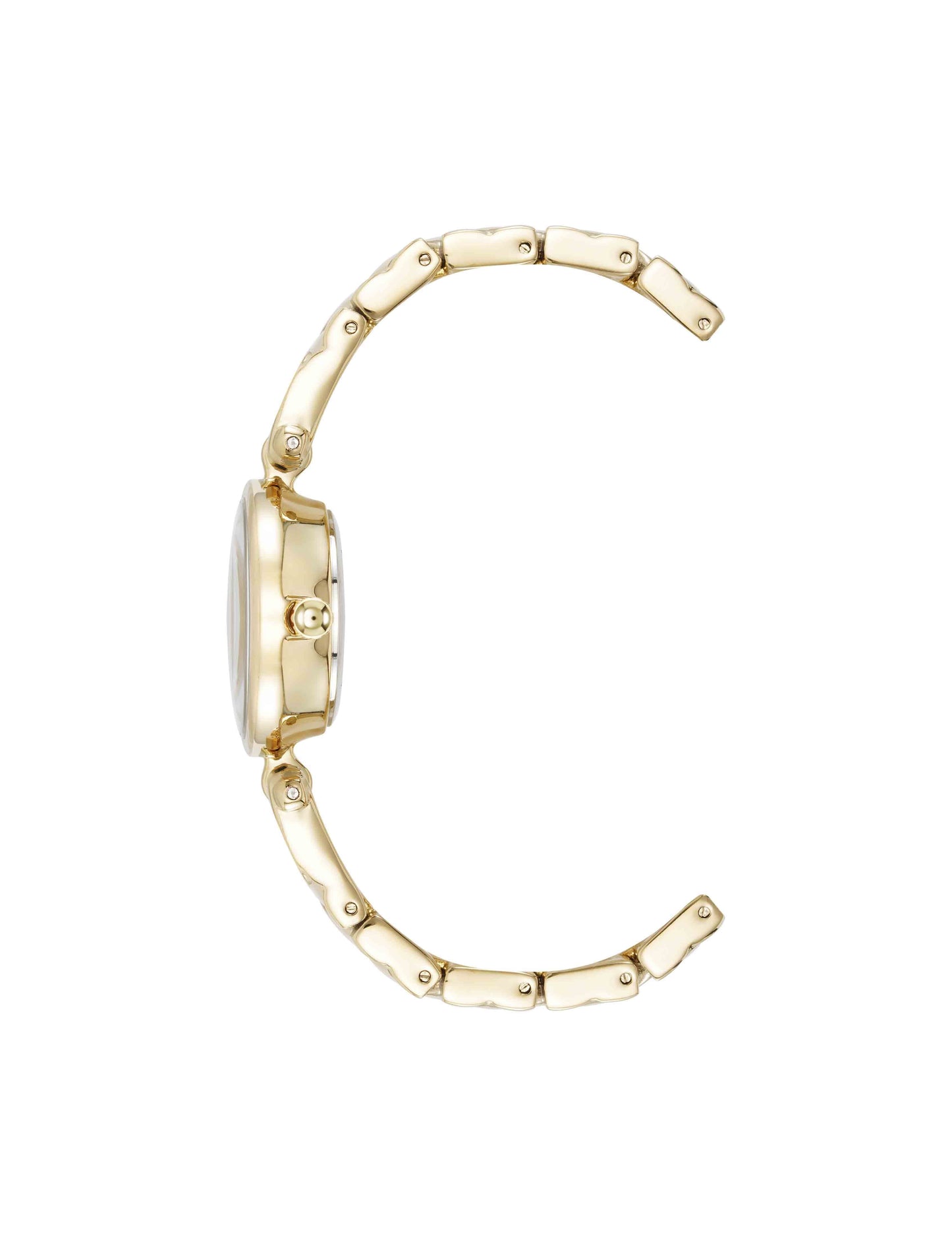 Anne Klein Crystal Accented V-Link Watch