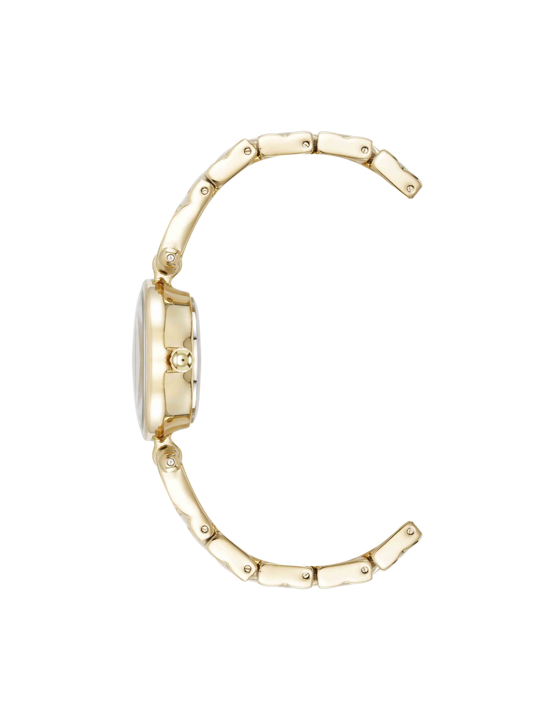 Anne Klein Crystal Accented V-Link Watch