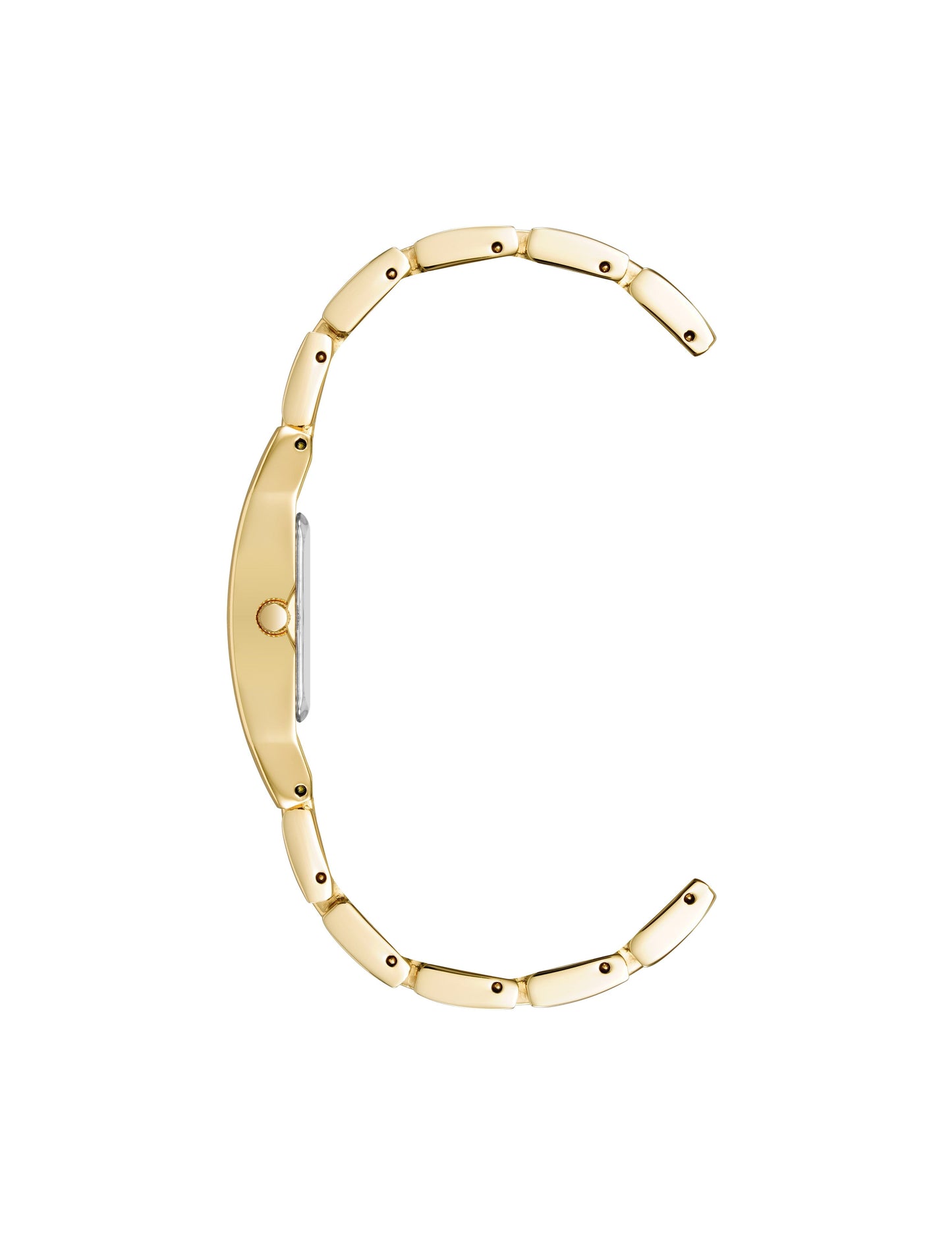 Anne Klein Petite Bracelet Watch With Case