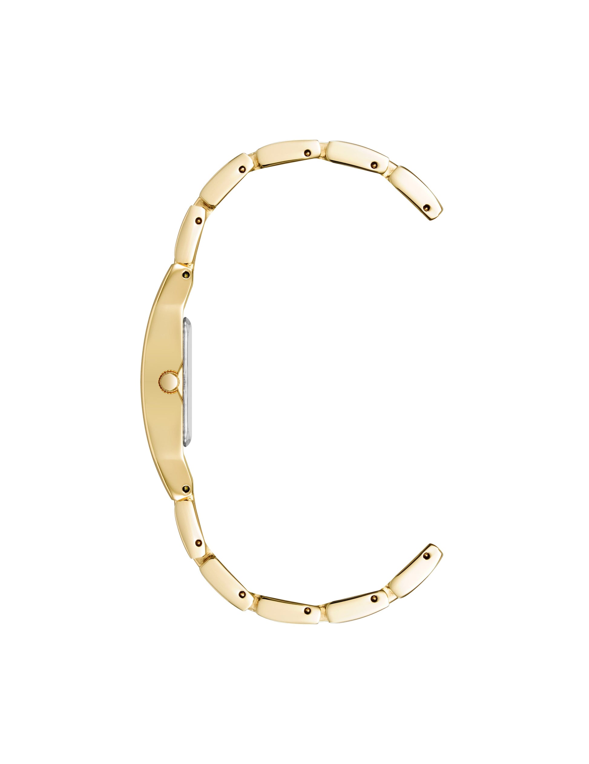 Anne Klein Petite Bracelet Watch With Case