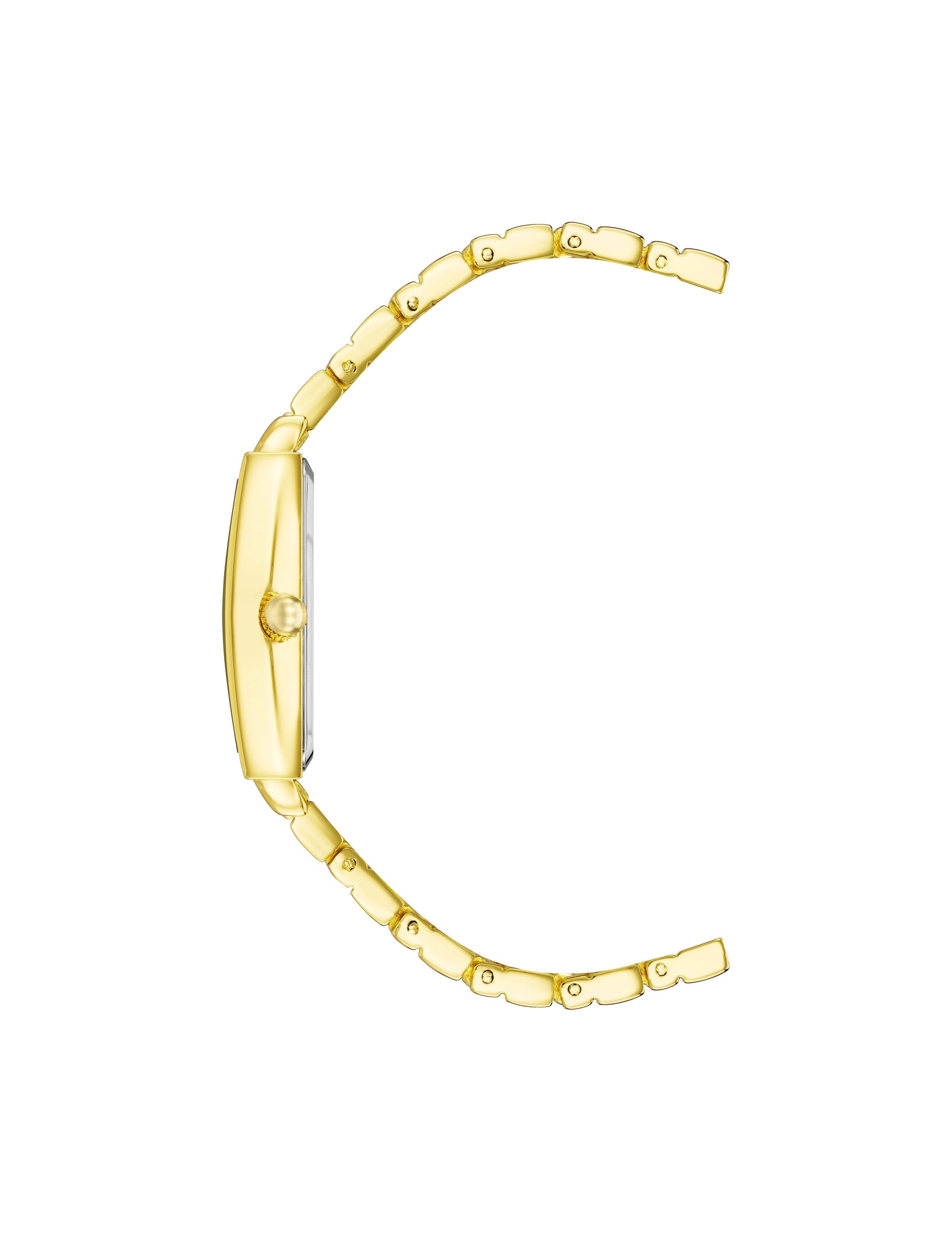 Anne Klein Everyday Chic Bracelet Watch