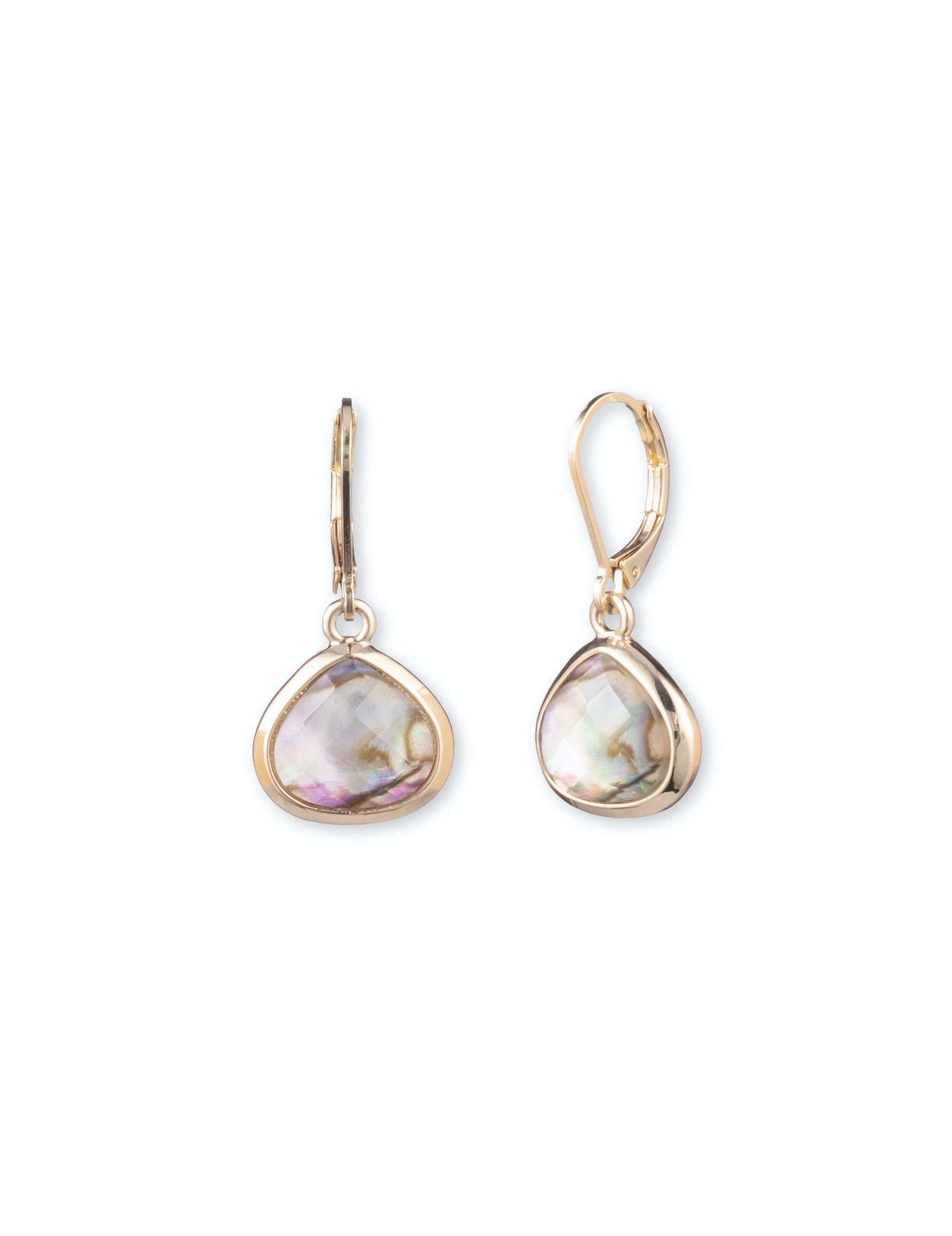 Anne Klein Abalone Stone Gold-Tone Drop Earrings
